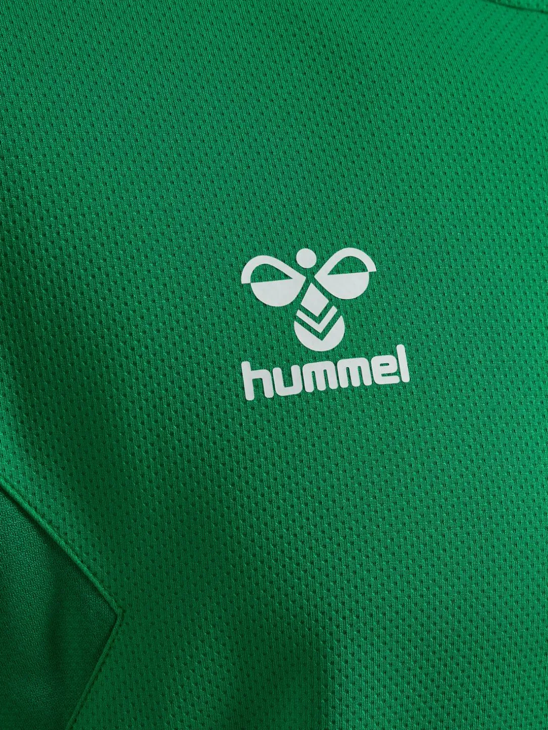 hmlAUTHENTIC PL HOODIE