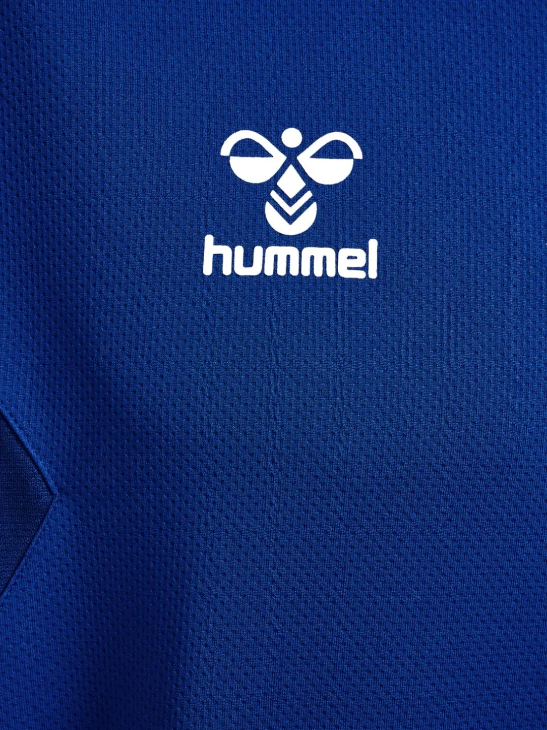 hmlAUTHENTIC PL HOODIE
