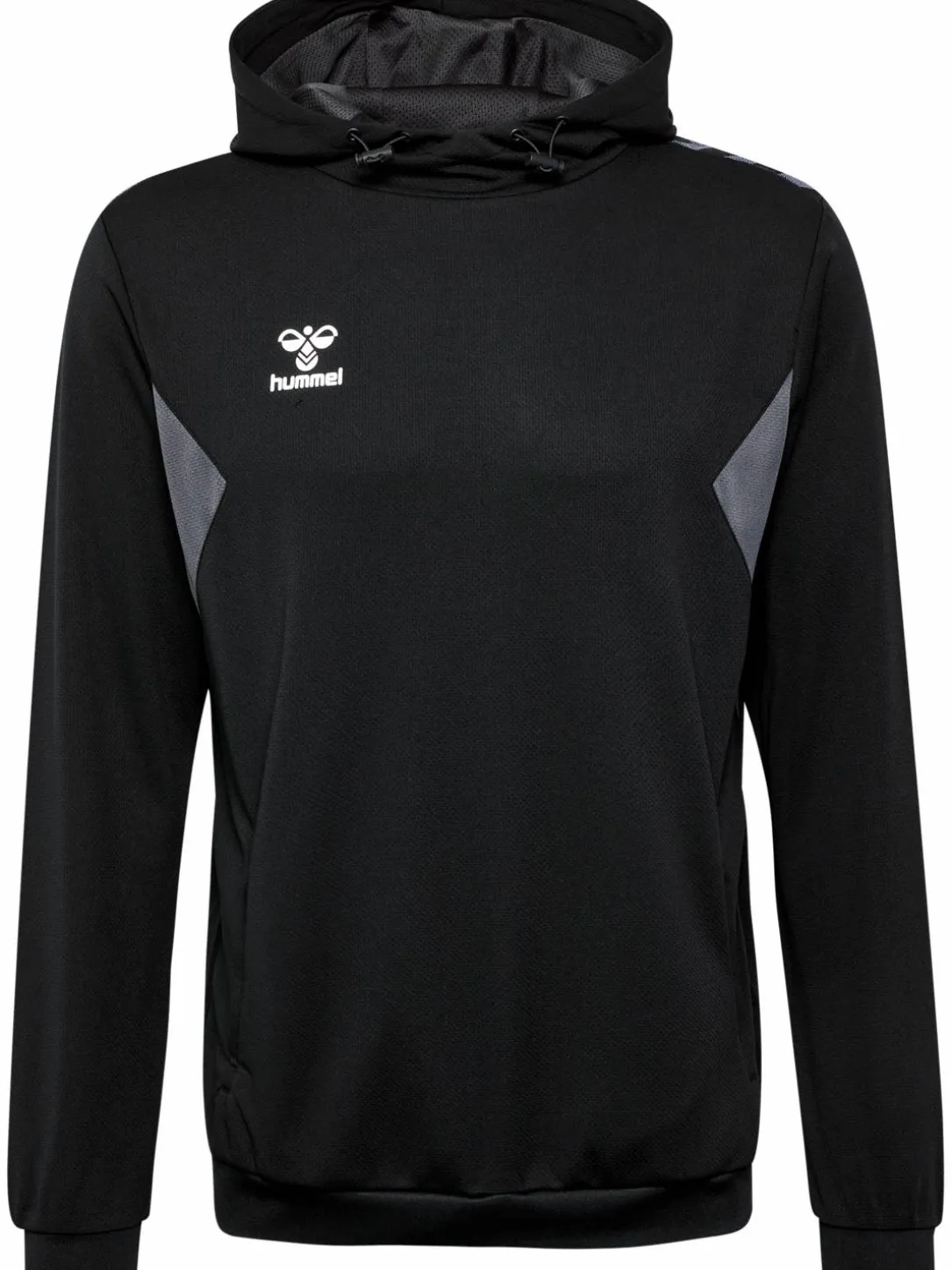 hmlAUTHENTIC PL HOODIE