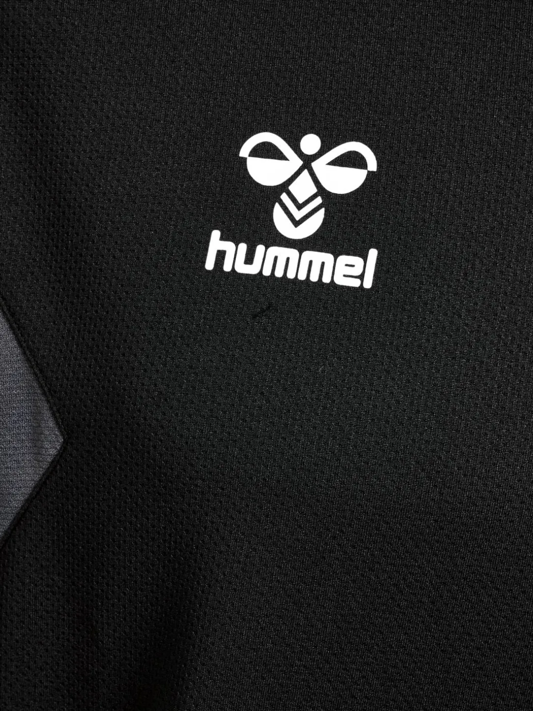 hmlAUTHENTIC PL HOODIE