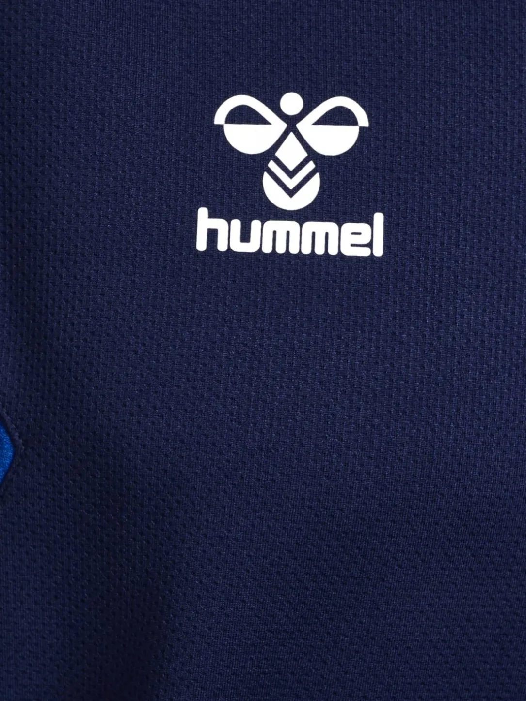 hmlAUTHENTIC PL HOODIE
