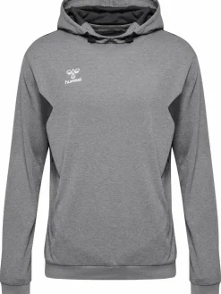 hmlAUTHENTIC PL HOODIE