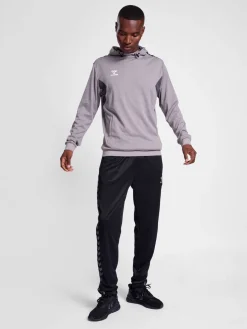 hmlAUTHENTIC PL HOODIE