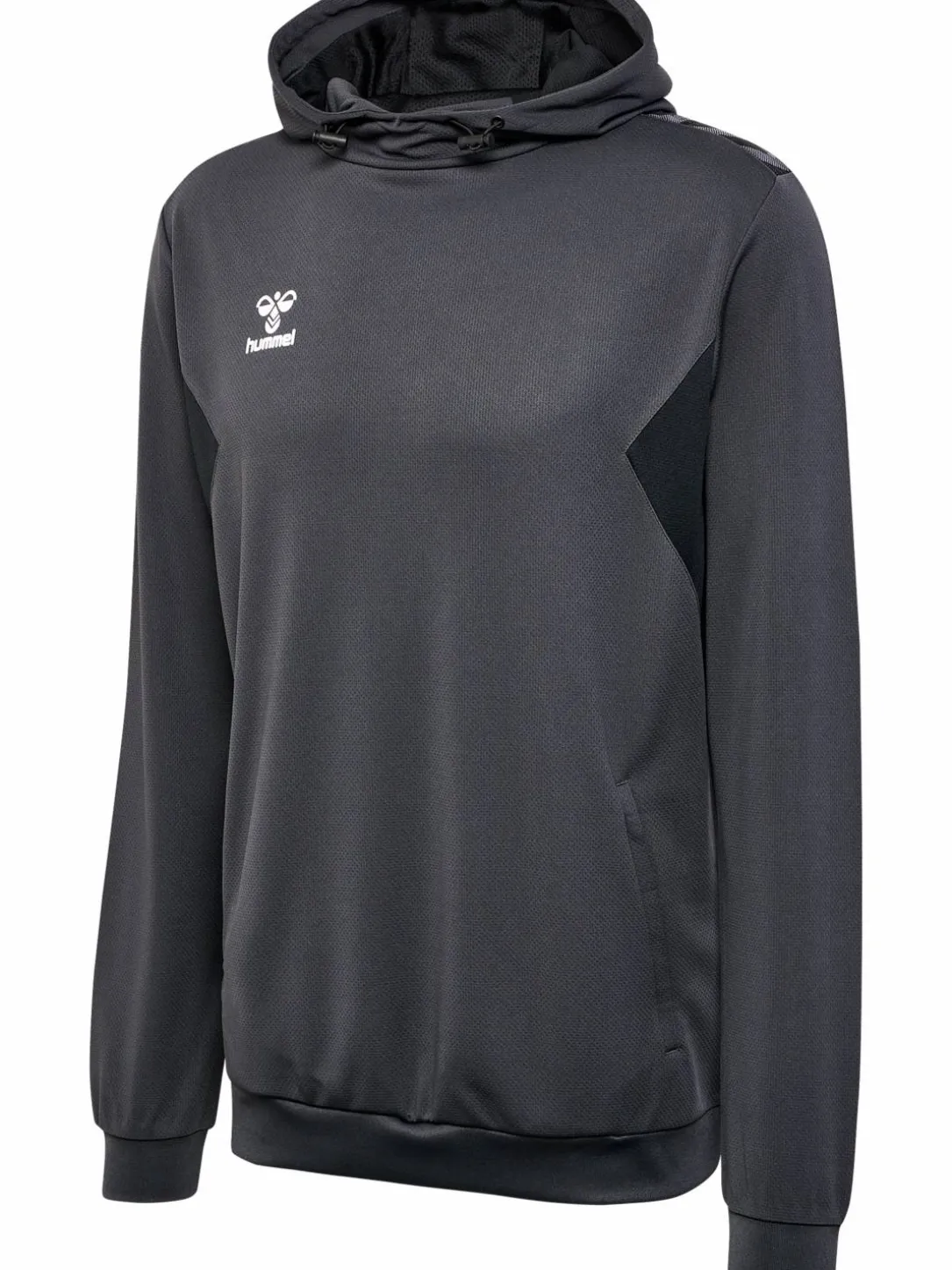 hmlAUTHENTIC PL HOODIE