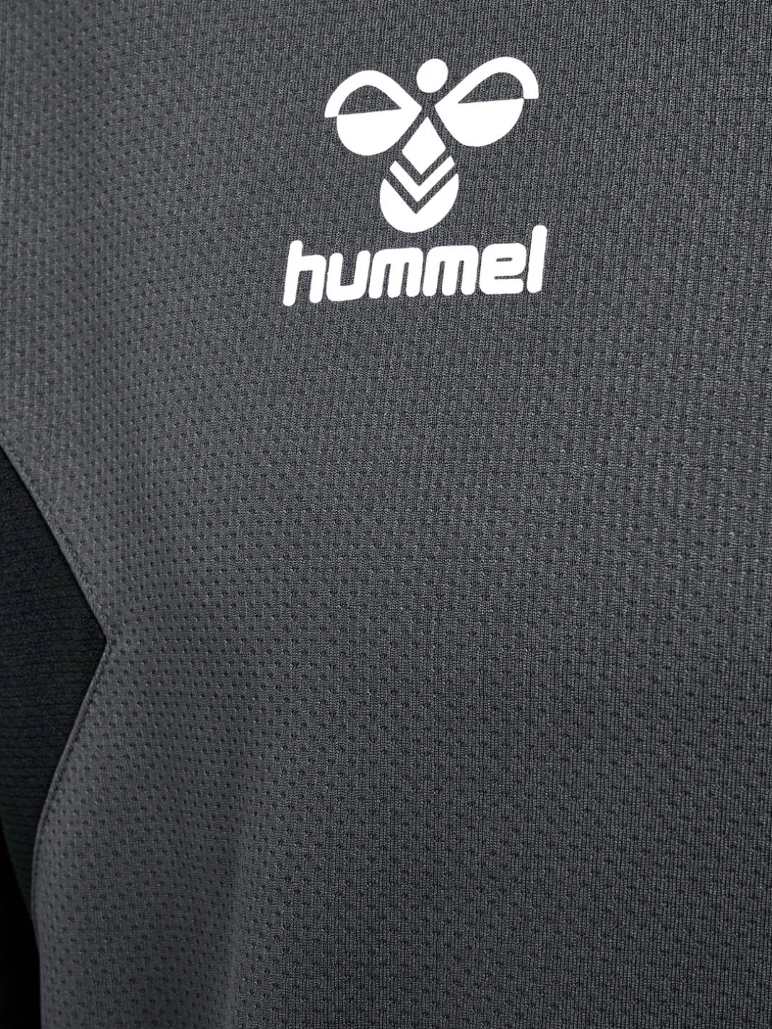 hmlAUTHENTIC PL HOODIE