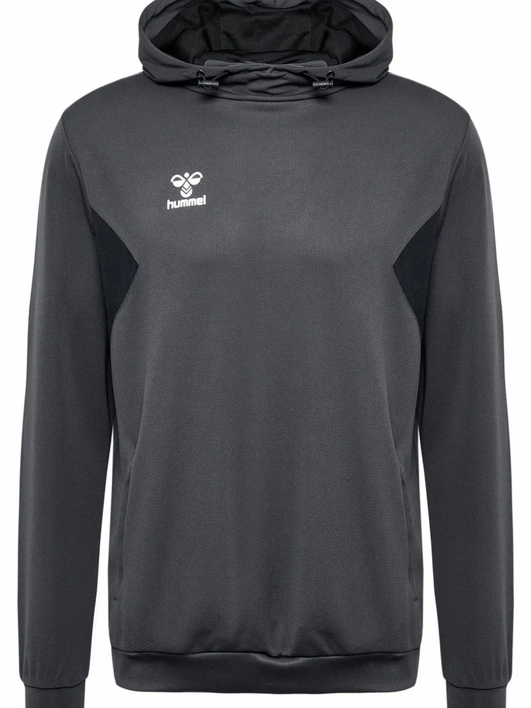 hmlAUTHENTIC PL HOODIE