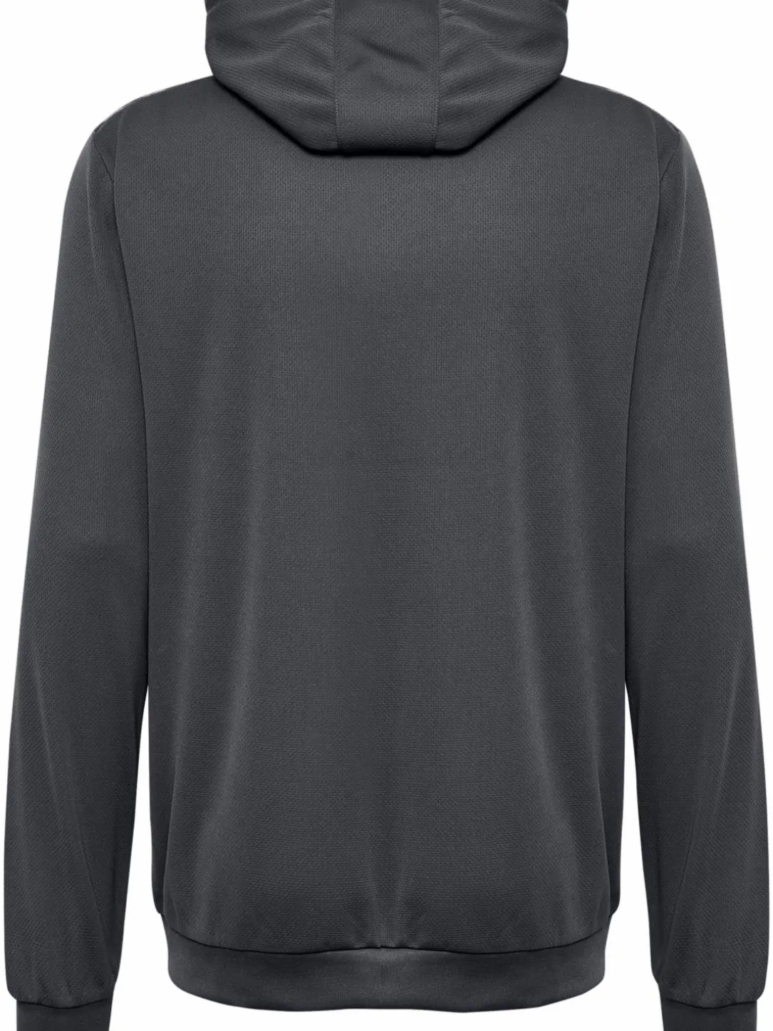 hmlAUTHENTIC PL HOODIE