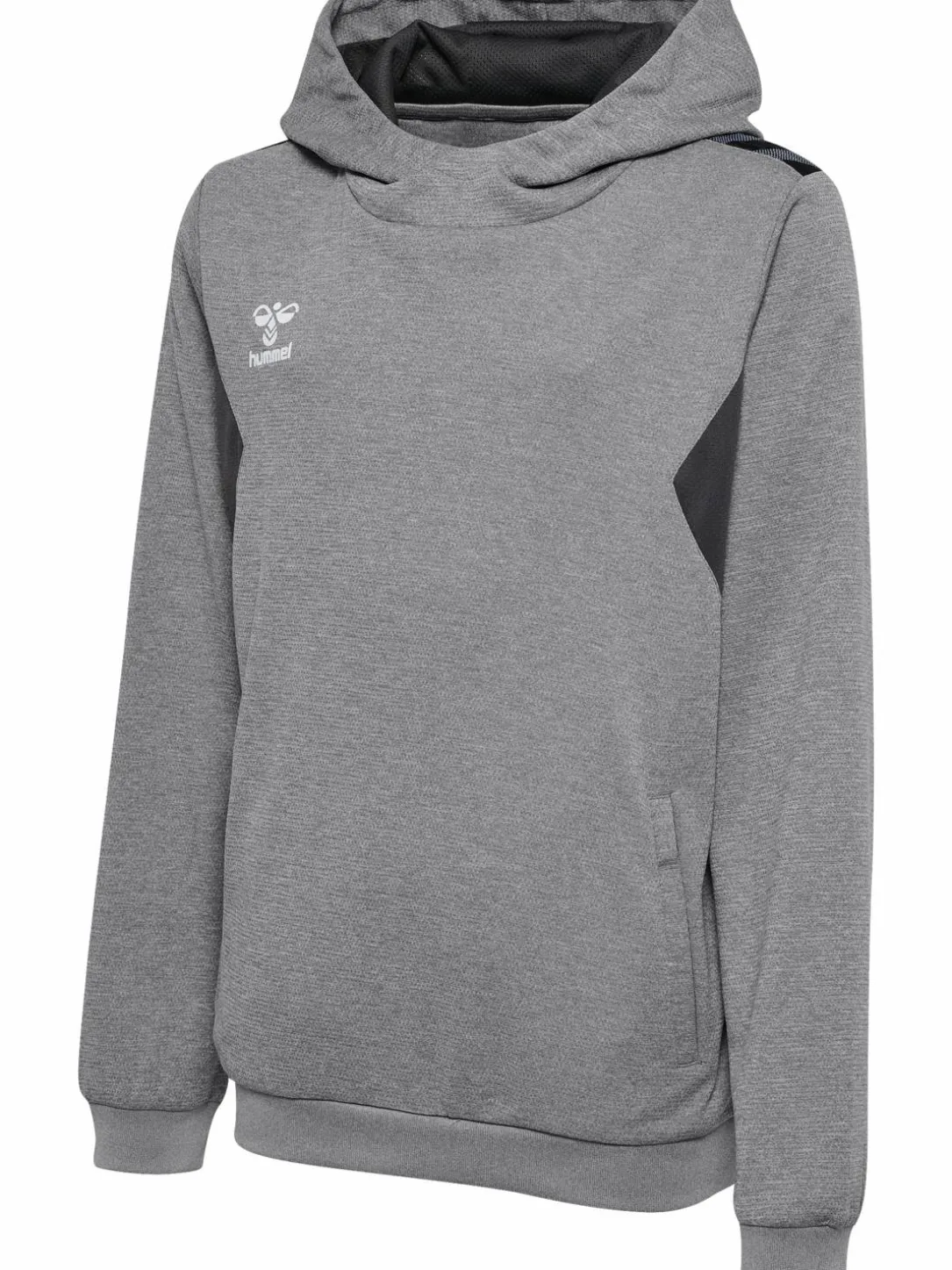 hmlAUTHENTIC PL HOODIE KIDS