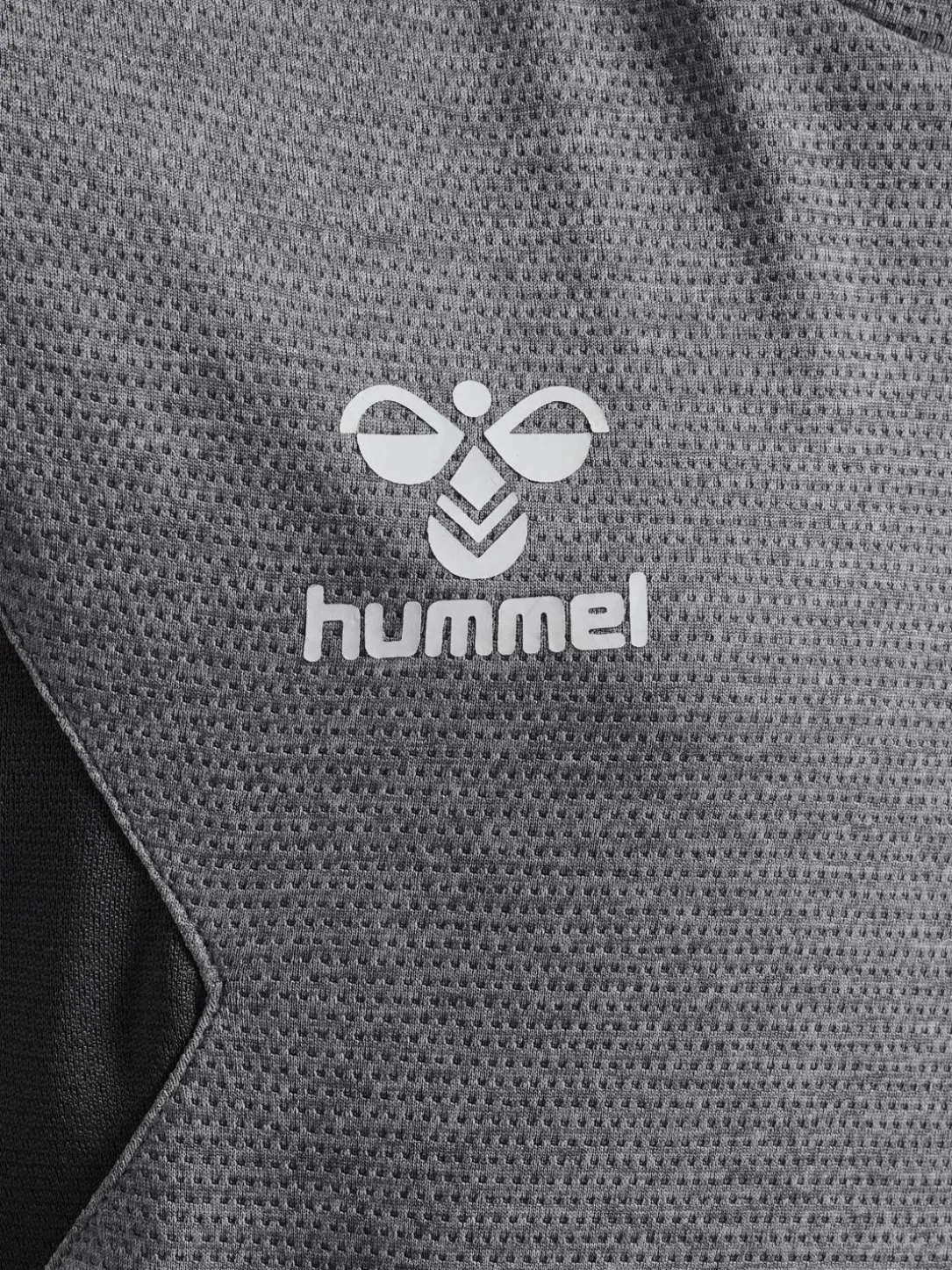 hmlAUTHENTIC PL HOODIE KIDS