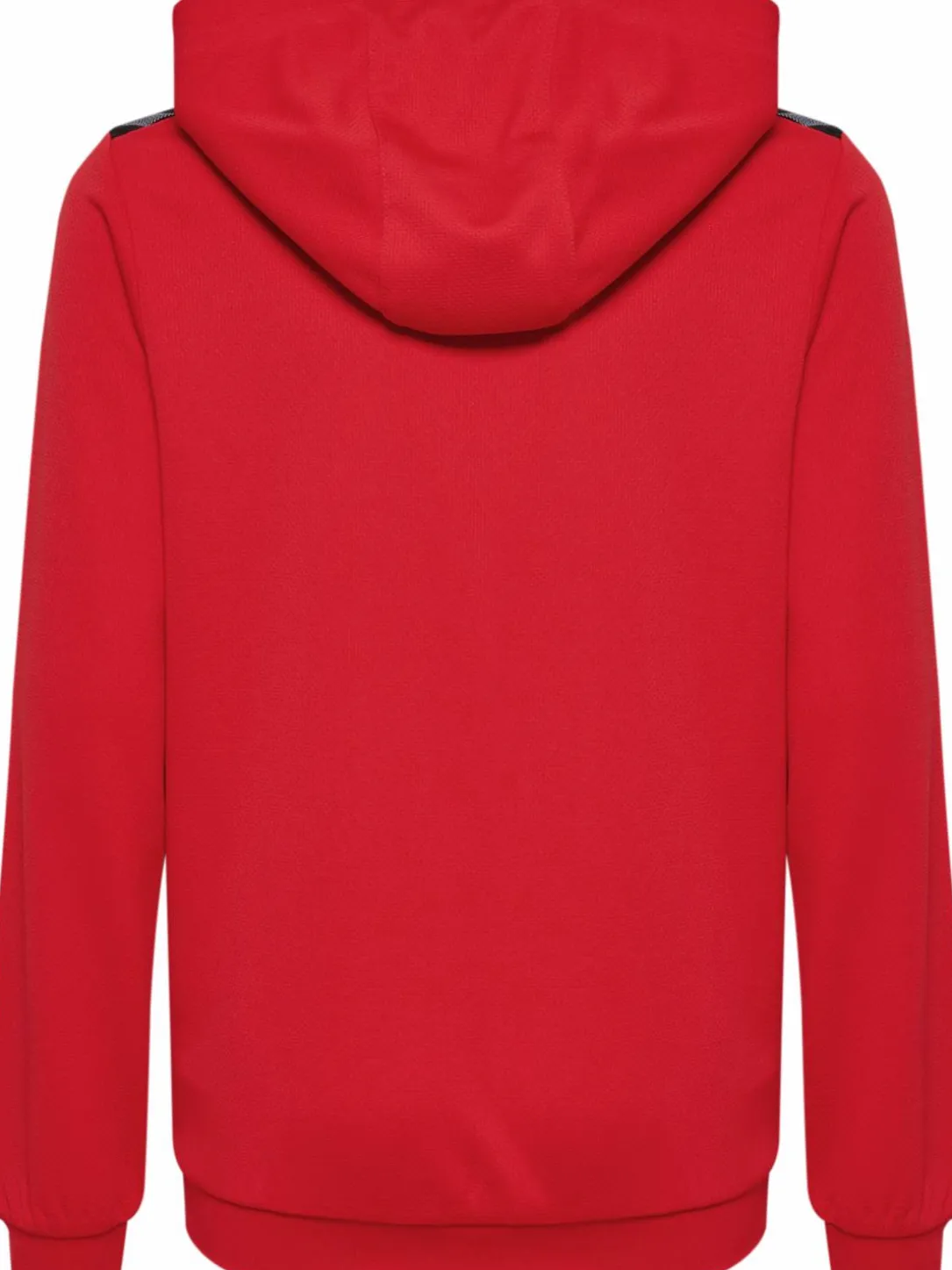hmlAUTHENTIC PL HOODIE KIDS
