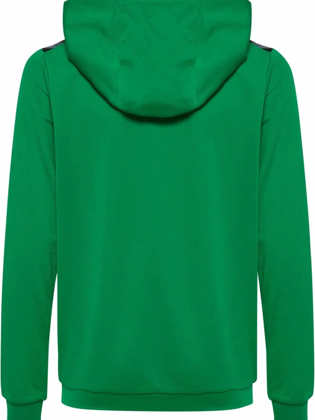 hmlAUTHENTIC PL HOODIE KIDS