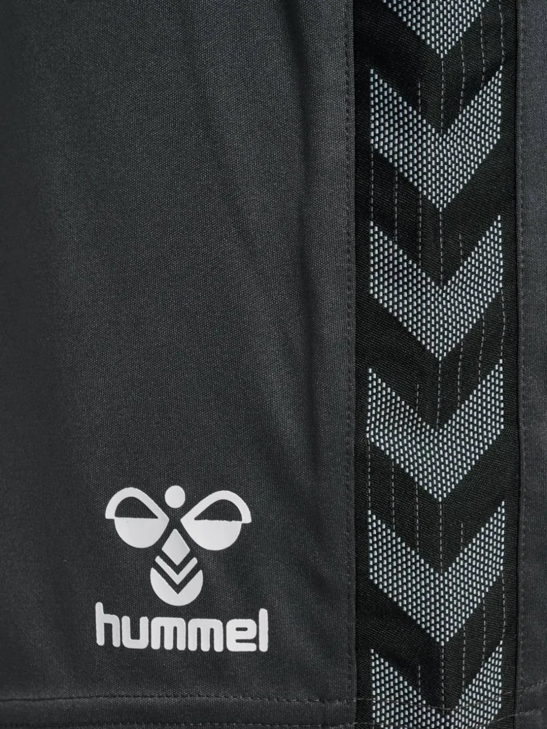 hmlAUTHENTIC PL SHORTS