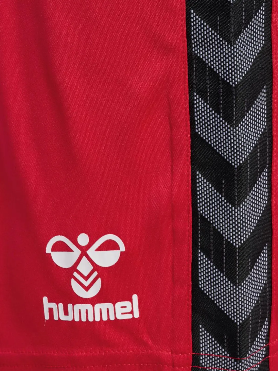 hmlAUTHENTIC PL SHORTS