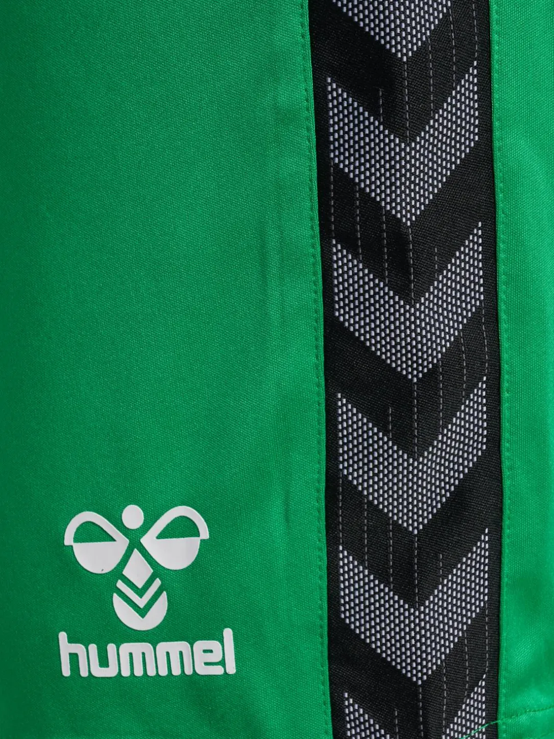 hmlAUTHENTIC PL SHORTS