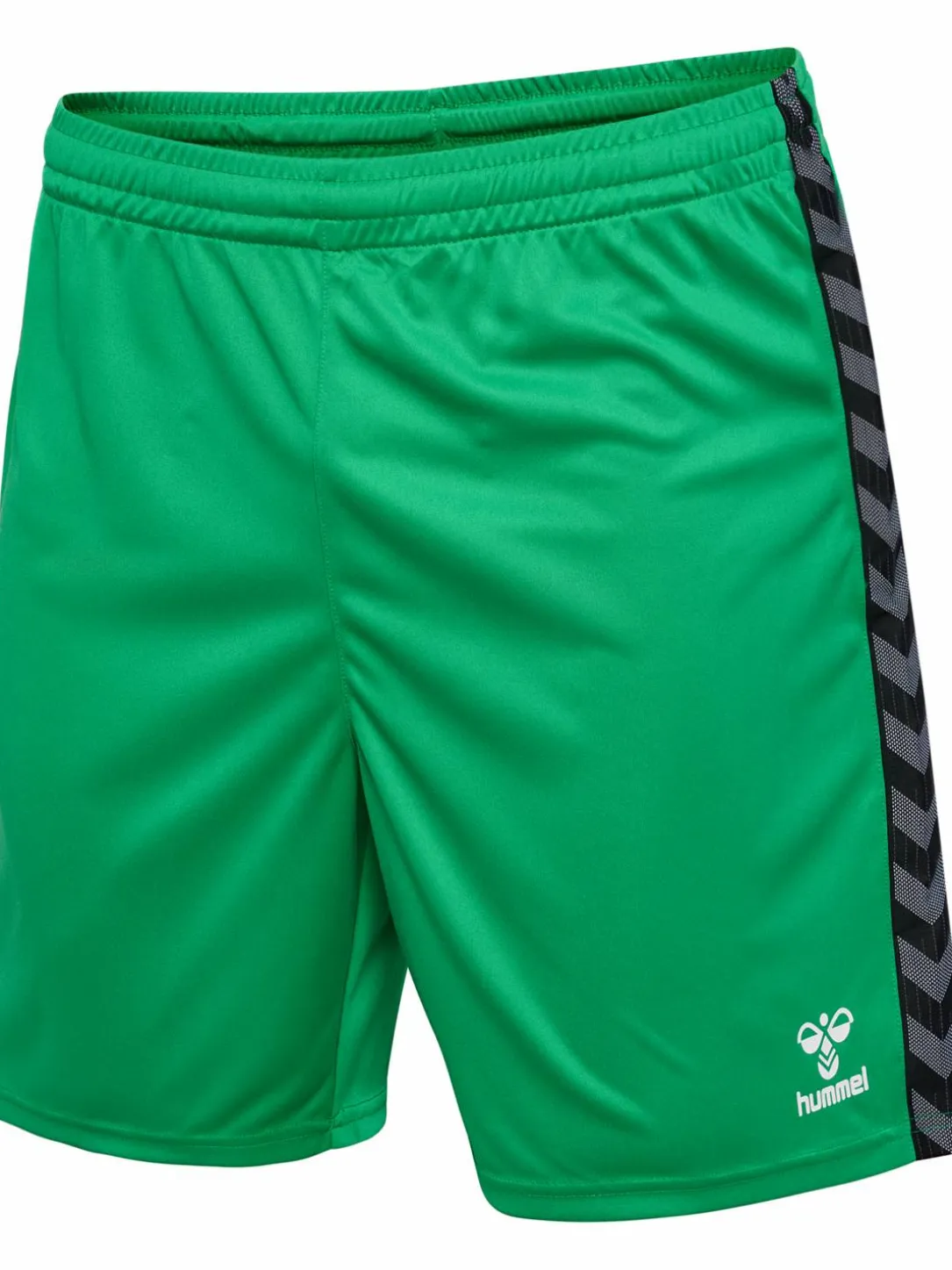 hmlAUTHENTIC PL SHORTS