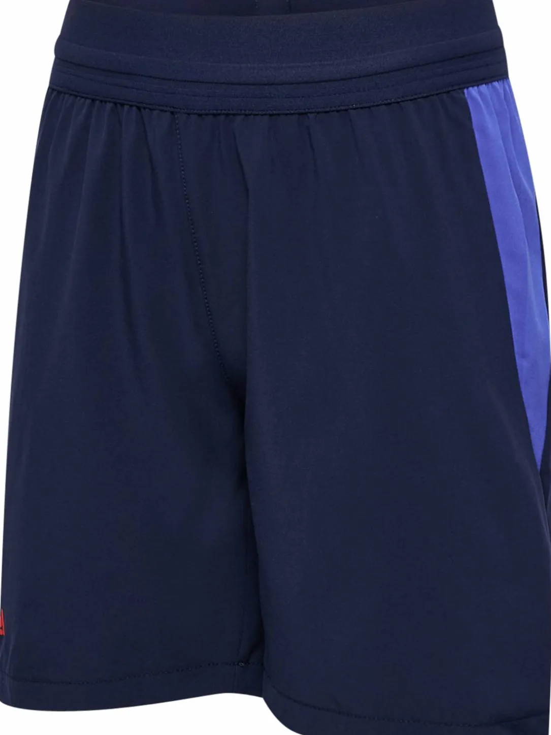 hmlBLAZE26 PRO TRAINING SHORTS KIDS