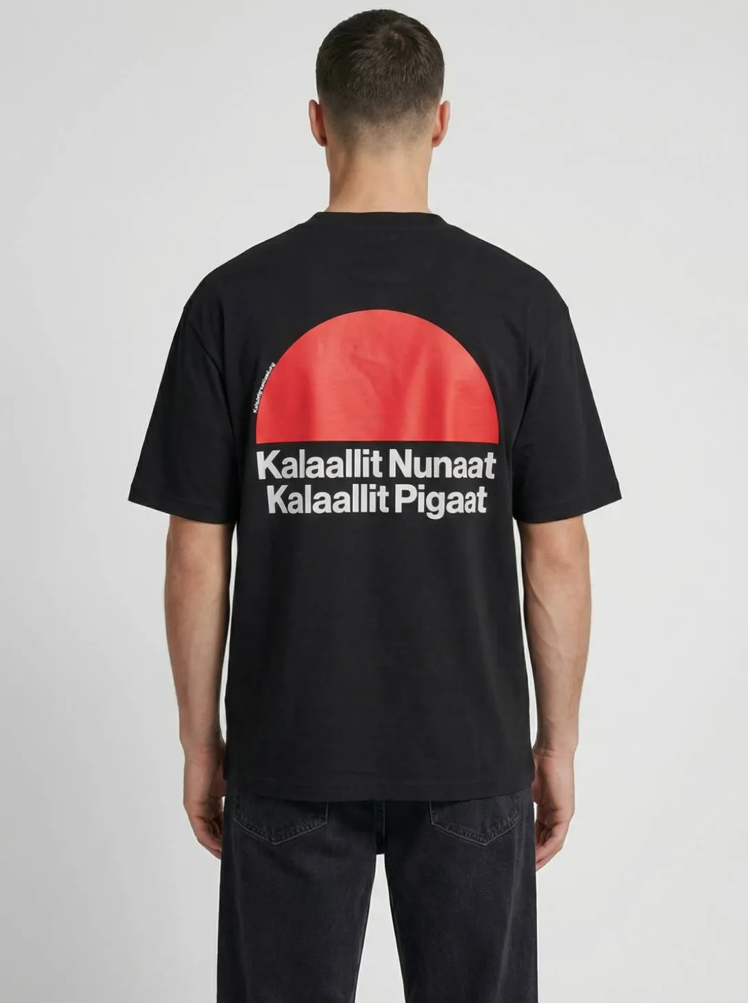 hmlGREENLAND T-SHIRT S/S