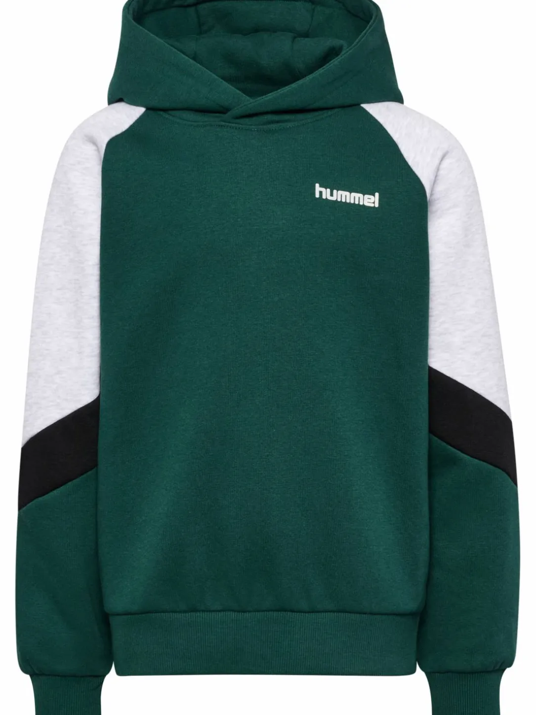 hmlJR LOOSE BLOCKED HOODIE