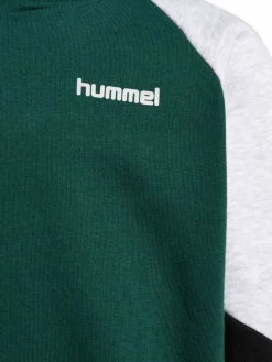 hmlJR LOOSE BLOCKED HOODIE
