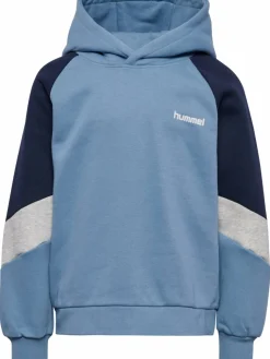 hmlJR LOOSE BLOCKED HOODIE