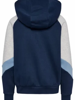 hmlJR LOOSE BLOCKED ZIP HOODIE