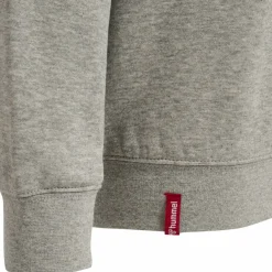 hmlRED CLASSIC HOODIE KIDS