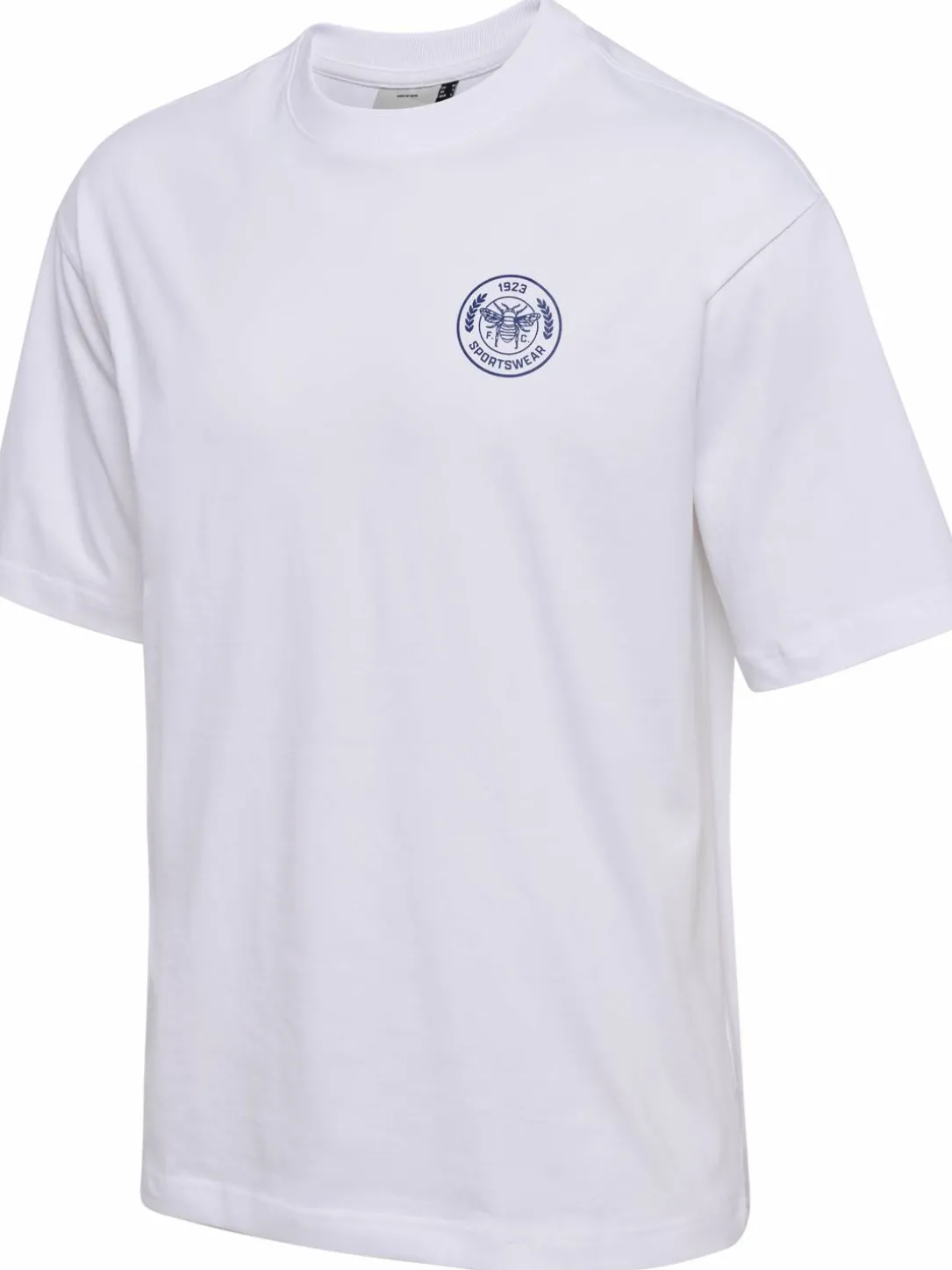 hmlSWARM LOOSE T-SHIRT