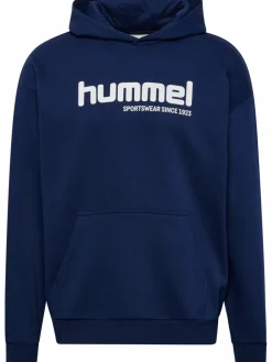 hmlSW GRAPHIC HOODIE