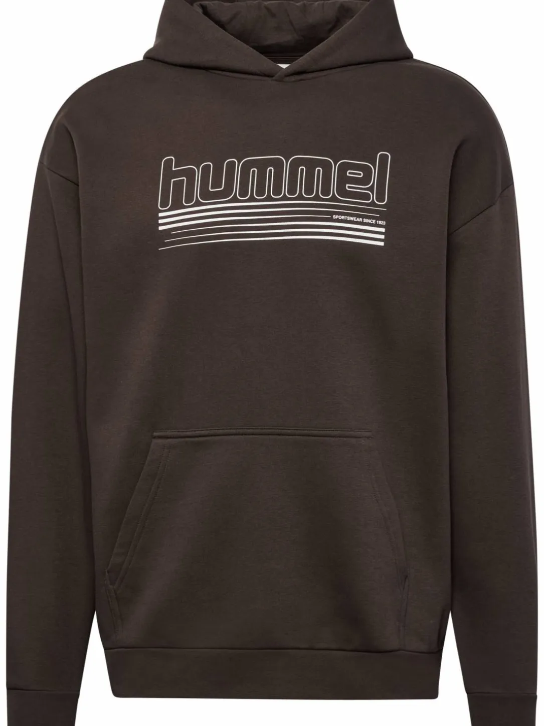 hmlSW GRAPHIC HOODIE
