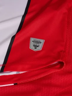 SAMSUNSPOR STRIPED JERSEY S/S 24/25