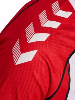 SAMSUNSPOR STRIPED JERSEY S/S 24/25