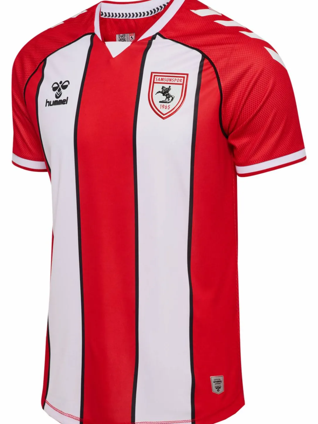 SAMSUNSPOR STRIPED JERSEY S/S 24/25