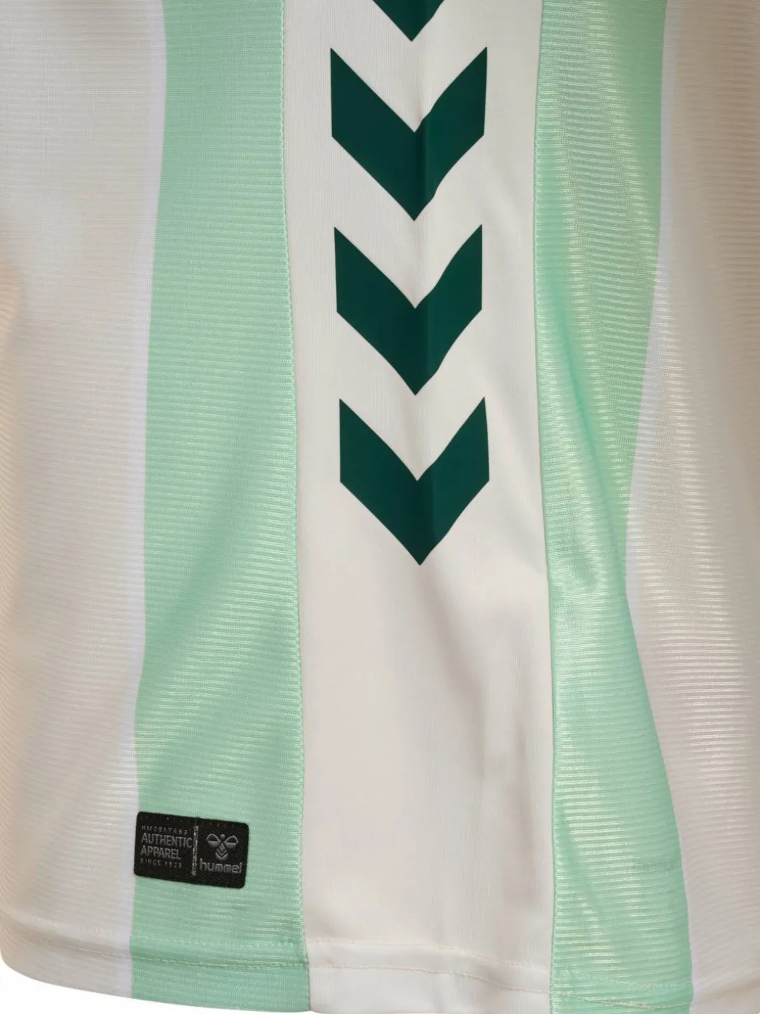 WER 25/26 INCLUSION JERSEY S/S