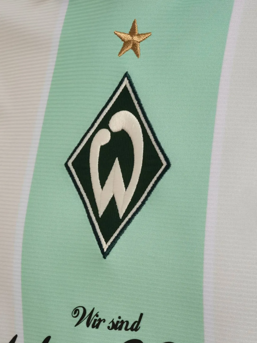 WER 25/26 INCLUSION JERSEY S/S
